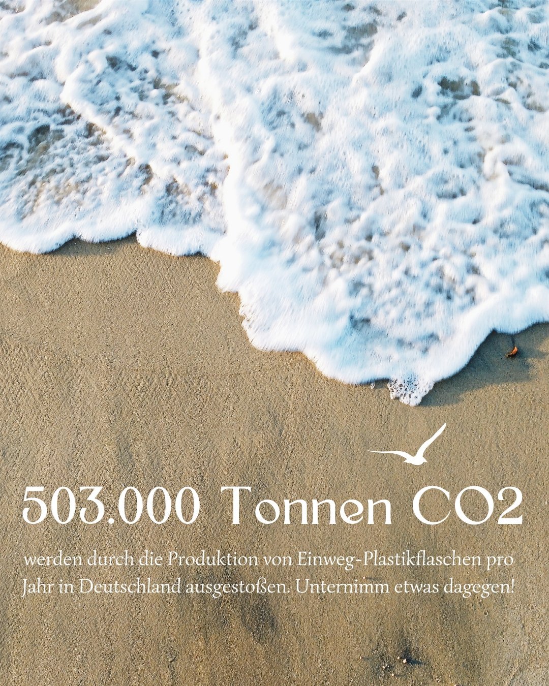503.000 Tonnen CO2 jedes Jahr durch Einweg-Plastikflaschen. Unternimm etwas dagegen! - Luckymoose Shop