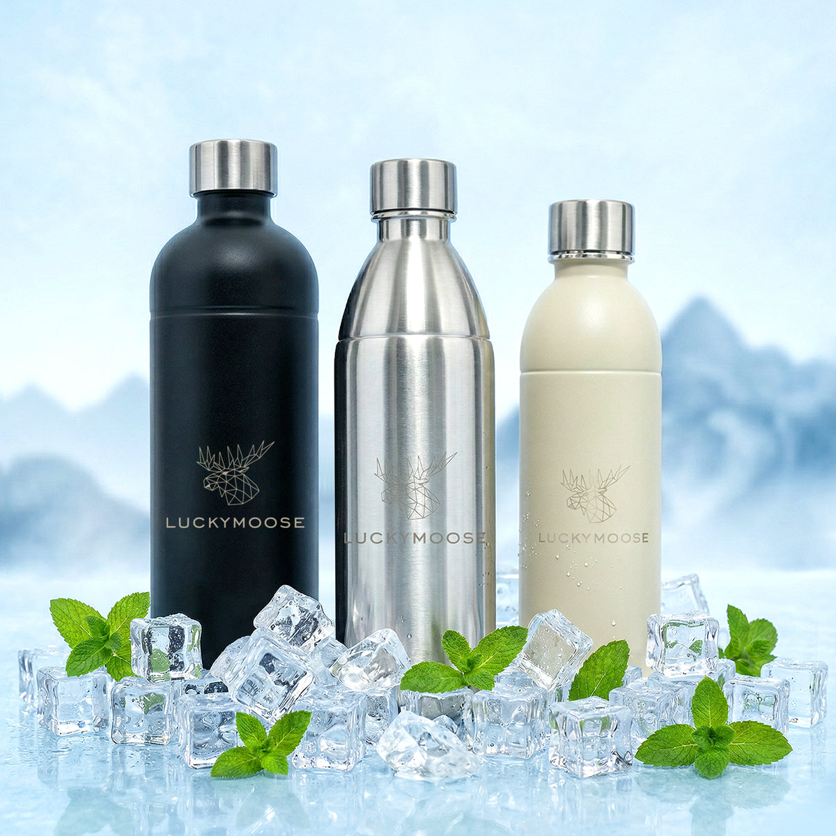 Edelstahl Flasche für Aarke Carbonator, Philips GoZero, Brita SodaOne – Luckymoose