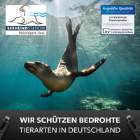 Infinity Wassersprudler mit 2x 1,25L Edelstahlflaschen