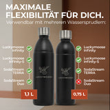 Infinity Edelstahlflasche für 1,1L & 0,75L Sodastream TERRA & DUO