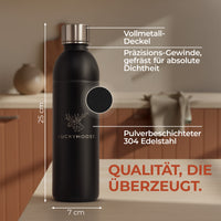 Infinity Edelstahlflasche für 1,1L & 0,75L Sodastream TERRA & DUO