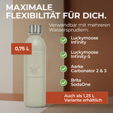 Infinity Edelstahlflasche 1,25L für Aarke, Philips, Brita