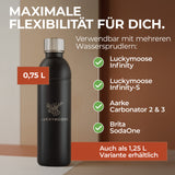 Infinity Edelstahlflasche 1,25L für Aarke, Philips, Brita