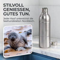 Bouteille en acier inoxydable Infinity pour 1,1L & 0,75L Sodastream TERRA & DUO