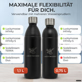 Bouteille en acier inoxydable Infinity pour 1,1L & 0,75L Sodastream TERRA & DUO