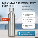Bouteille en acier inoxydable Infinity pour 1,1L & 0,75L Sodastream TERRA & DUO