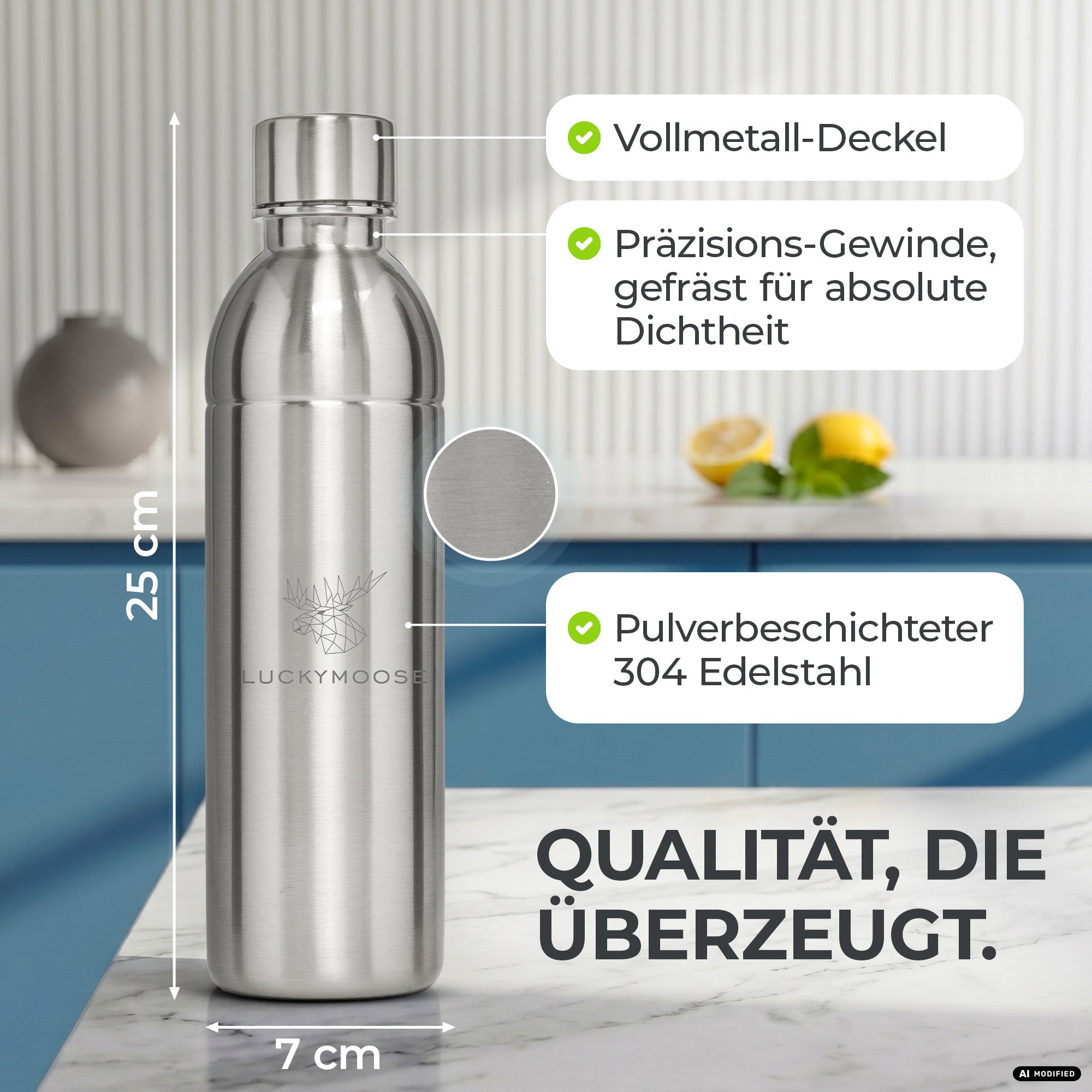 Bouteille en acier inoxydable Infinity pour 1,1L & 0,75L Sodastream TERRA & DUO
