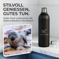 Bouteille en acier inoxydable Infinity pour 1,1L & 0,75L Sodastream TERRA & DUO