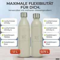 Bouteille en acier inoxydable Infinity pour 1,1L & 0,75L Sodastream TERRA & DUO
