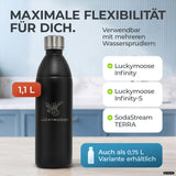 Bouteille en acier inoxydable Infinity pour 1,1L & 0,75L Sodastream TERRA & DUO