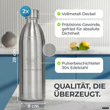 Bouteille en acier inoxydable Infinity pour 1,1L & 0,75L Sodastream TERRA & DUO