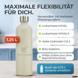 Bouteille en acier inoxydable Infinity 1,25L & 0,75L pour Aarke, Philips, Brita