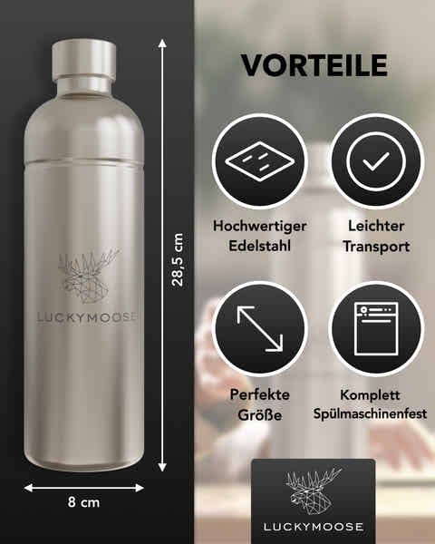 VALICLUD Edelstahl Sprühflasche 500ml – Feiner Nebel, Handbetätigt, Lebensmittelecht – Perfekt Für Pflanzen, Grillen, Öl & Reinigung – Tragbar Und Stylisch Handbetätigte Sprühflasche