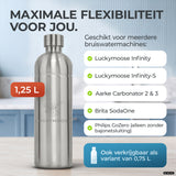 Infinity RVS-fles 1,25L & 0,75L voor Aarke, Philips, Brita
